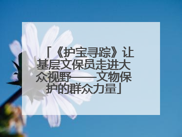 《护宝寻踪》让基层文保员走进大众视野——文物保护的群众力量