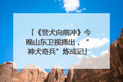 《警犬向前冲》今晚山东卫视播出，“神犬奇兵”炼成记