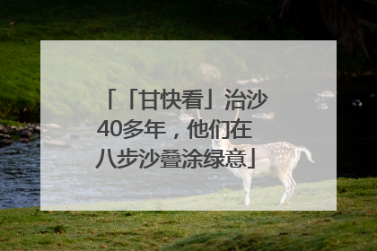 「甘快看」治沙40多年，他们在八步沙叠涂绿意