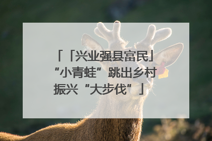 「兴业强县富民」“小青蛙”跳出乡村振兴“大步伐”
