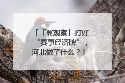 「冀观察」打好“赛事经济牌”，河北做了什么？