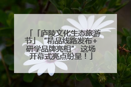 「庐陵文化生态旅游节」“精品线路发布+研学品牌亮相” 这场开幕式亮点纷呈！