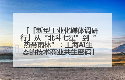 「新型工业化媒体调研行」从“北斗七星”到“热带雨林”：上海AI生态的技术商业共生密码