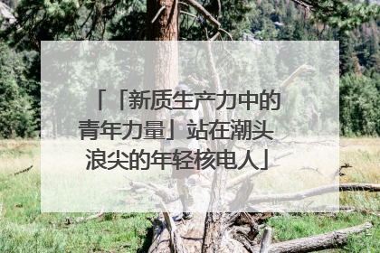 「新质生产力中的青年力量」站在潮头浪尖的年轻核电人
