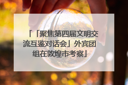 「聚焦第四届文明交流互鉴对话会」外宾团组在敦煌市考察
