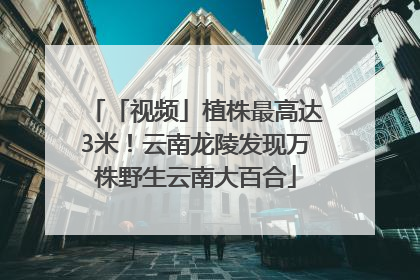 「视频」植株最高达3米！云南龙陵发现万株野生云南大百合