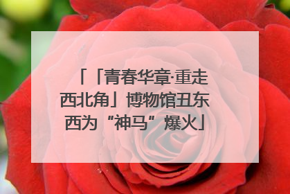 「青春华章·重走西北角」博物馆丑东西为“神马”爆火