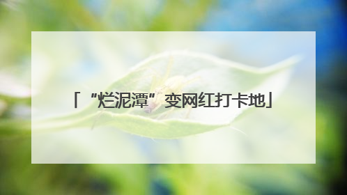“烂泥潭”变网红打卡地