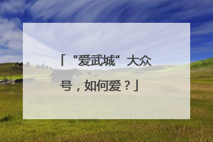 “爱武城”大众号，如何爱？