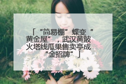“简易棚”蝶变“黄金屋”，武汉黄陂火塔线瓜果售卖亭成“金招牌”