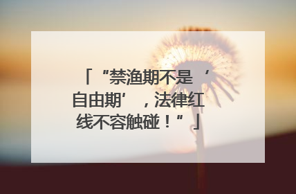 “禁渔期不是‘自由期’，法律红线不容触碰！”
