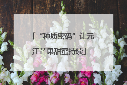 “种质密码”让元江芒果甜蜜持续