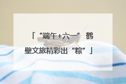 “端午+六一” 鹤壁文旅精彩出“粽”