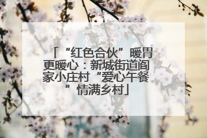 “红色合伙”暖胃更暖心：新城街道阎家小庄村“爱心午餐”情满乡村