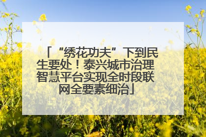 “绣花功夫”下到民生要处！泰兴城市治理智慧平台实现全时段联网全要素细治