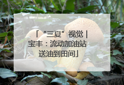 “三夏”视觉｜宝丰：流动加油站 送油到田间