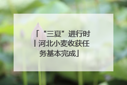 “三夏”进行时丨河北小麦收获任务基本完成