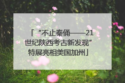 “不止秦俑——21世纪陕西考古新发现”特展亮相美国加州
