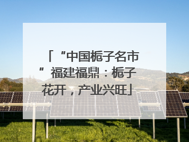 “中国栀子名市”福建福鼎：栀子花开，产业兴旺