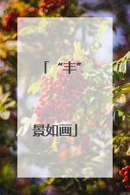 “丰”景如画