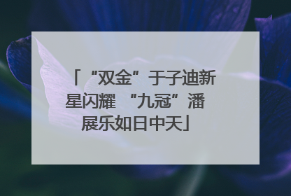 “双金”于子迪新星闪耀 “九冠”潘展乐如日中天