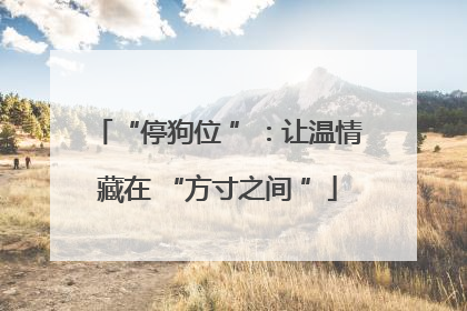 “停狗位 ”：让温情藏在 “方寸之间 ”