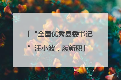 “全国优秀县委书记”汪小波，履新职