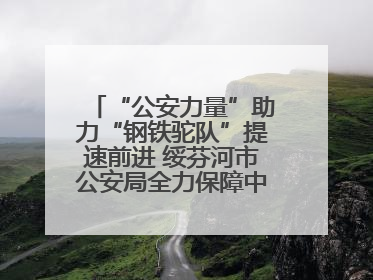 “公安力量”助力“钢铁驼队”提速前进 绥芬河市公安局全力保障中欧班列“东通道”绥芬河隧道贯通
