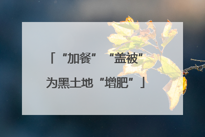 “加餐”“盖被” 为黑土地“增肥”