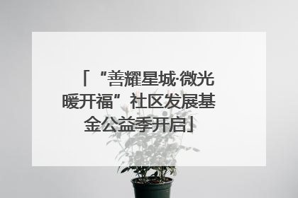 “善耀星城·微光暖开福”社区发展基金公益季开启