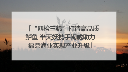 “四检三筛”打造高品质鲈鱼 半天妖携手闽威助力福鼎渔业实现产业升级