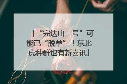 “完达山一号”可能已“脱单”！东北虎种群也有新喜讯