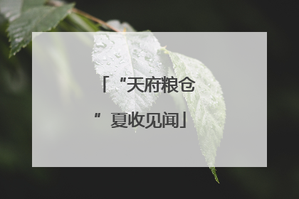 “天府粮仓”夏收见闻