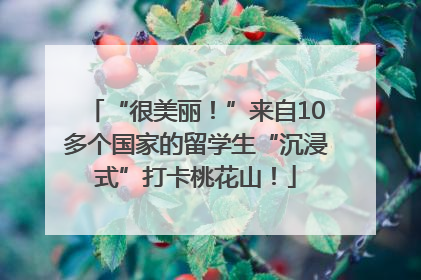 “很美丽！”来自10多个国家的留学生“沉浸式”打卡桃花山！