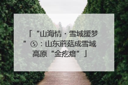 “山海情・雪域援梦”⑤：山东蘑菇成雪域高原“金疙瘩”