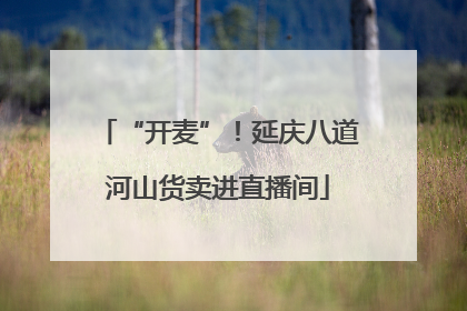“开麦”！延庆八道河山货卖进直播间