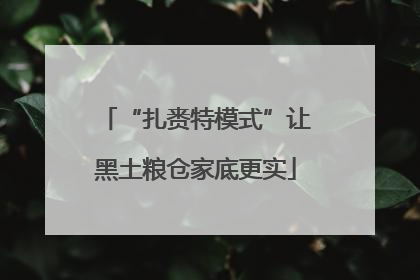 “扎赉特模式”让黑土粮仓家底更实