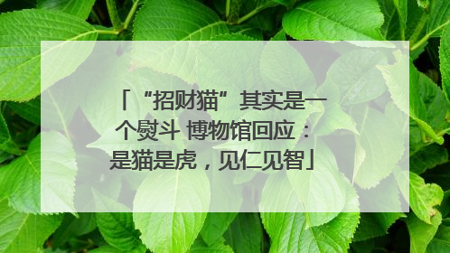 “招财猫”其实是一个熨斗 博物馆回应：是猫是虎，见仁见智