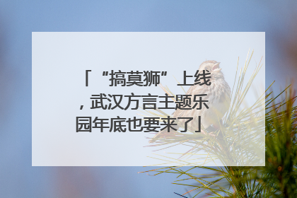 “搞莫狮”上线，武汉方言主题乐园年底也要来了