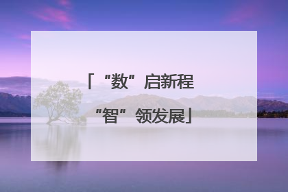 “数”启新程 “智”领发展