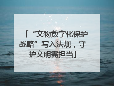 “文物数字化保护战略”写入法规，守护文明需担当