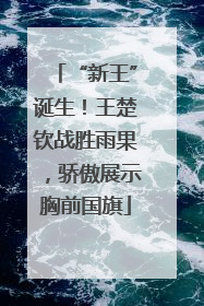 “新王”诞生！王楚钦战胜雨果，骄傲展示胸前国旗