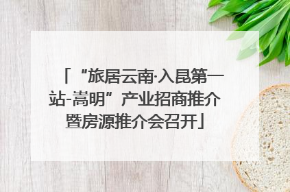 “旅居云南·入昆第一站-嵩明”产业招商推介暨房源推介会召开