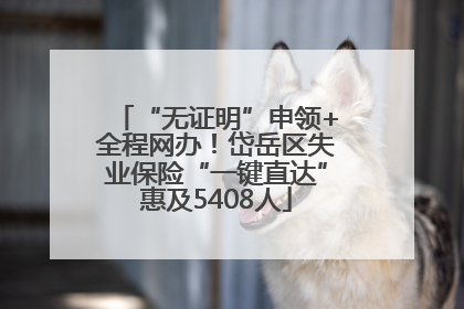 “无证明”申领+全程网办！岱岳区失业保险“一键直达”惠及5408人