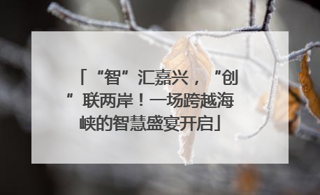“智”汇嘉兴，“创”联两岸！一场跨越海峡的智慧盛宴开启
