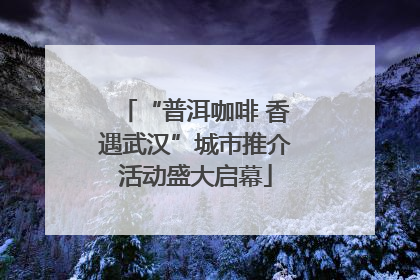 “普洱咖啡 香遇武汉”城市推介活动盛大启幕