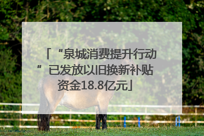 “泉城消费提升行动”已发放以旧换新补贴资金18.8亿元