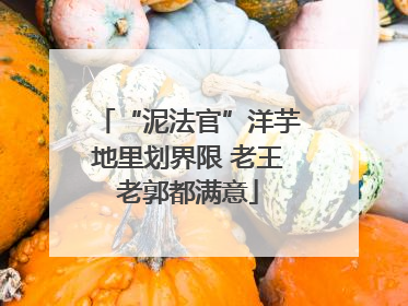 “泥法官”洋芋地里划界限 老王老郭都满意