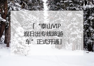 “泰山VIP观日出专线旅游车”正式开通