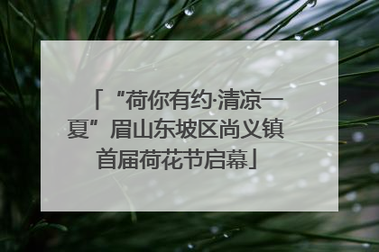 “荷你有约·清凉一夏”眉山东坡区尚义镇首届荷花节启幕